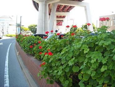 若松商店街連合会の花壇画像