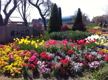 勝山公園内のスポンサー花壇の写真