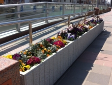 黒崎駅前ペデストリアンデッキのスポンサー花壇の写真