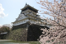 小倉城と桜の写真
