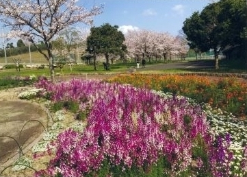 永犬丸の森公園さんの花と緑づくりの写真