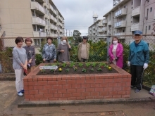 椎ノ木町西公園愛護会の写真