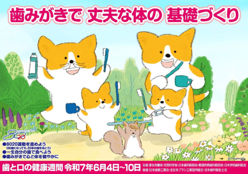 歯みがきで 丈夫な体の 基礎づくり
