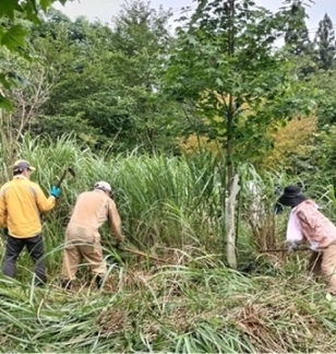 過去の下草刈の様子