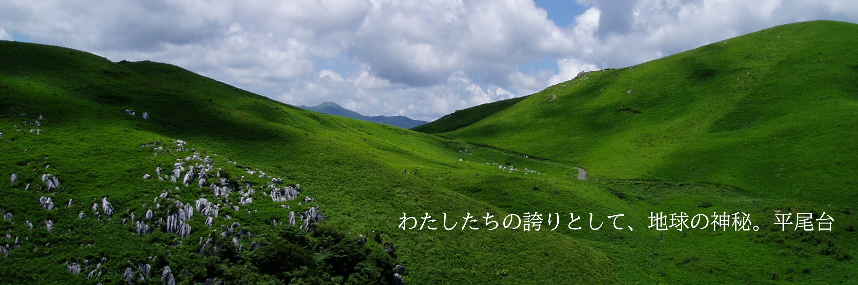 小倉南区トップ画像（平尾台の風景）