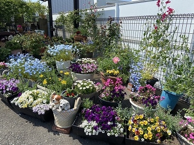是此田 美鈴さんの花と緑づくりの写真