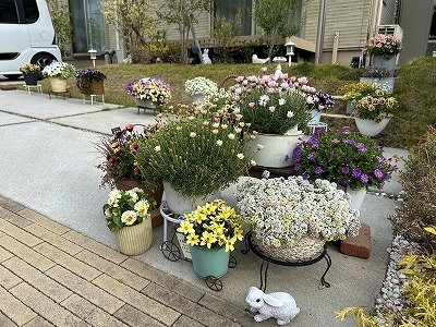 久保田 朋子さんの花と緑づくりの写真