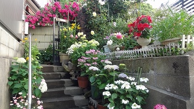坪根 勤子さんの花と緑づくりの写真