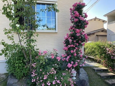 葛城  晃章さんの花と緑づくりの写真