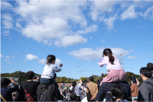 デイショーの様子の写真