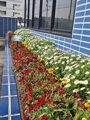 株式会社 網中さんの花と緑づくりの写真