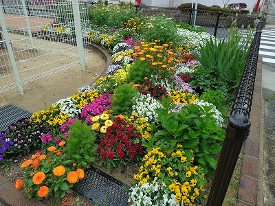 白銀ガーデナーズ花壇さんの花と緑づくりの写真