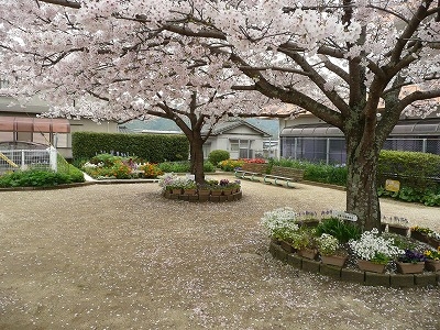 企救一公園愛護会さんの花と緑づくりの写真