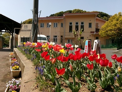 認定こども園　高見の森保育園さんの花と緑づくりの写真