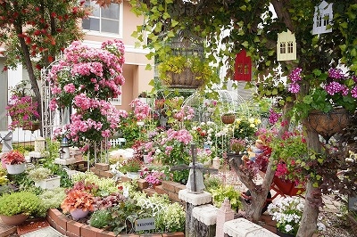 仁禮 久美子さんの花と緑づくりの写真