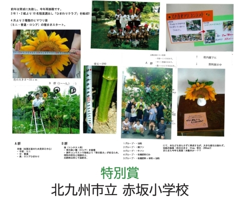 【ひまわり育成記録の写真】赤坂小学校