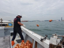 産卵用たこつぼの放流の写真