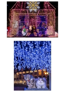 ルビーさん・r.y.o_i.risさんの作品の写真