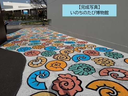 いのちのたび博物館の完成写真の画像