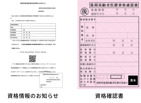 資格情報のお知らせ、資格確認書の見本