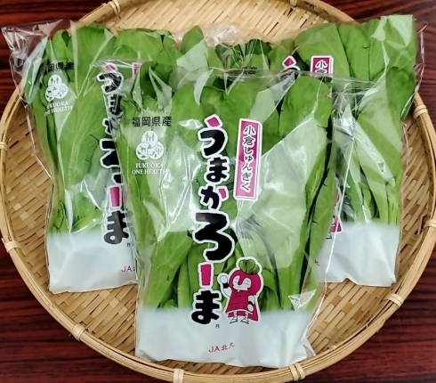 大葉しゅんぎくの写真