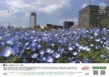 勝山公園のネモフィラ1（PDF形式：449KB）