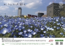 勝山公園のネモフィラ2（PDF形式：446KB）
