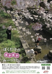 志井川の桜並木1（PDF形式：614KB）