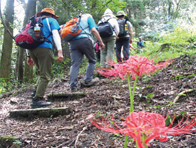 健康登山「修験者の道を訪ねる山歩き」の写真