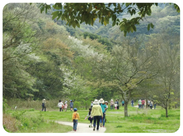 自然観察路の画像