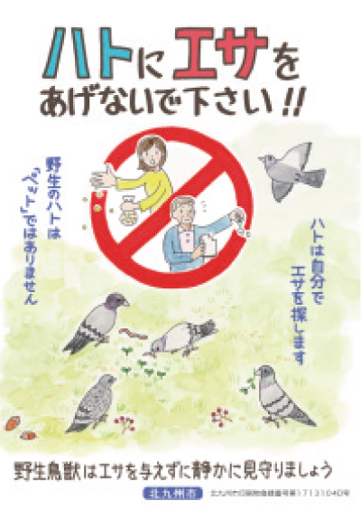 ハトにエサをあげないでください！ 野生のハトは「ペット」ではありません。　ハトは自分でエサを探します