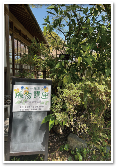 うっちー先生の植物講座の写真