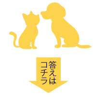 答えはコチラ