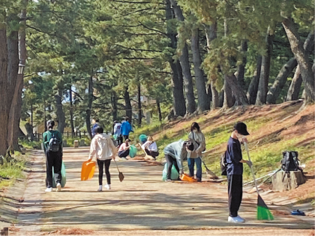 清掃ボランティア活動の写真