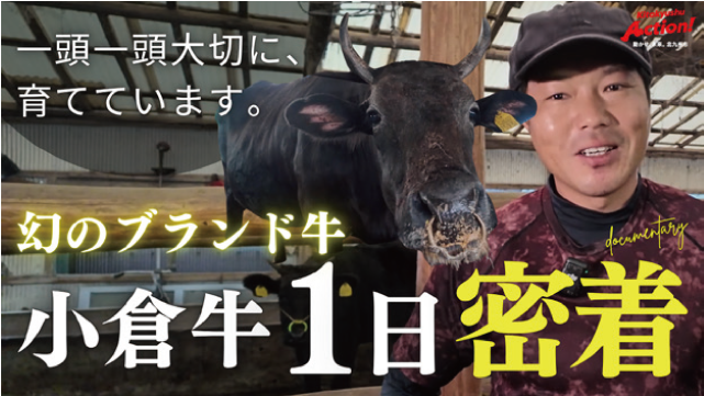 一頭一頭を大切に育てています。 幻のブランド牛 小倉牛1日密着