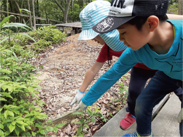 親子で「とんちょのもり」のようちえんの写真