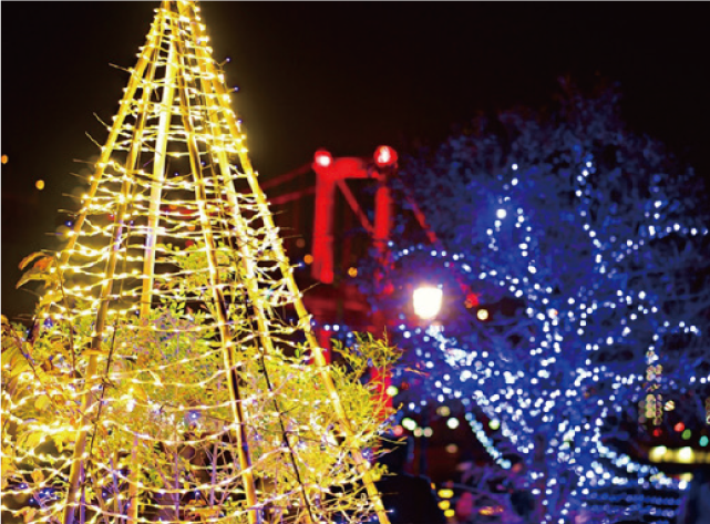 画版灯篭×若松イルミネーションの写真