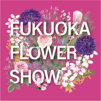 パレットポートプロジェクトの写真