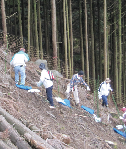 遠賀川源流の森づくりの様子