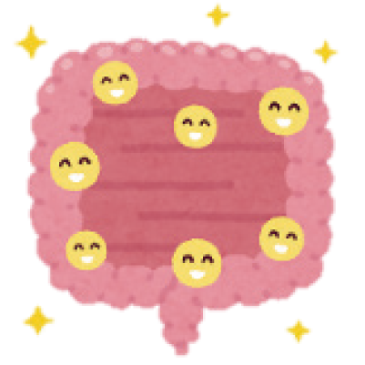腸内環境のイラスト