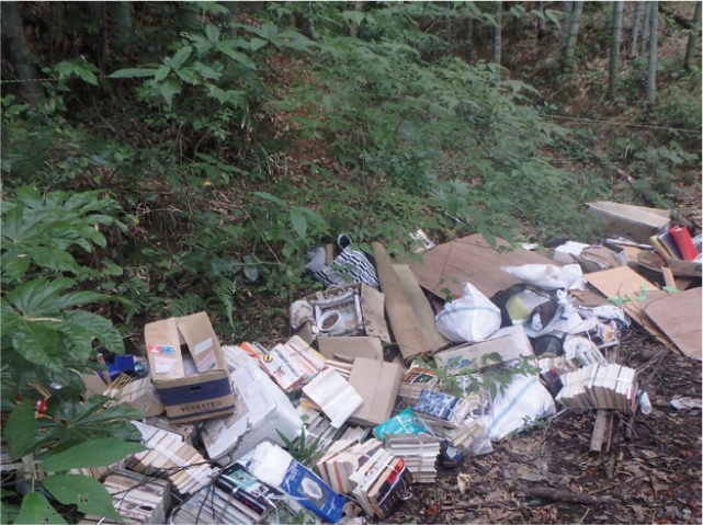 不法投棄等通報員を募集の写真