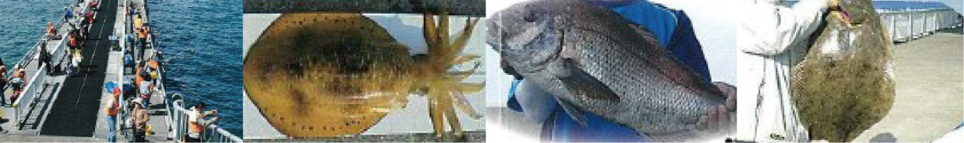 脇田海釣り桟橋の様子