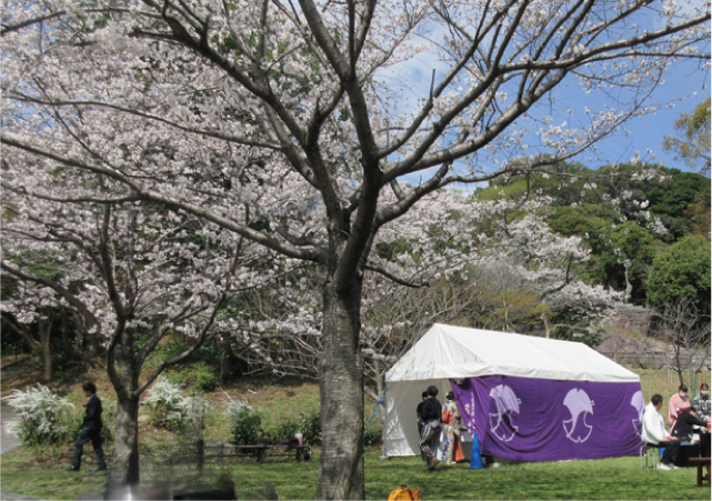 到津の森公園の写真