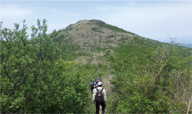 こどもの日 春の福智山登山〜キンポウゲを見ようの写真