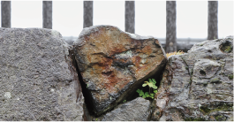 城内のどこかにあるよ