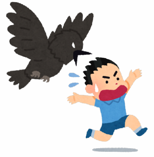 攻撃するカラスのイラスト