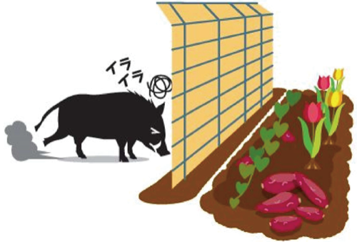 イノシシのイラスト