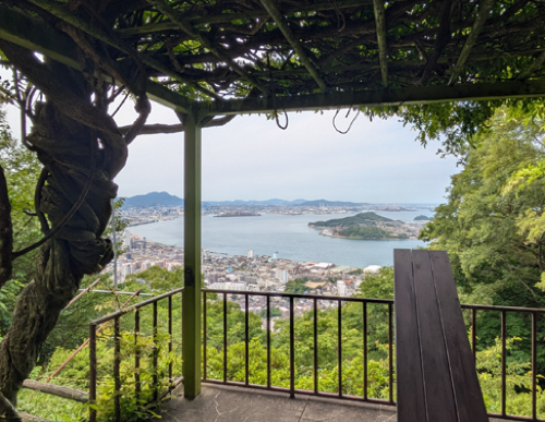 展望台からの画像