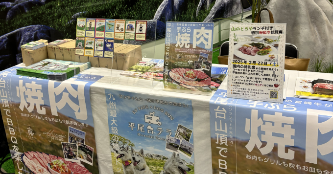 プロジェクトイメージ画像