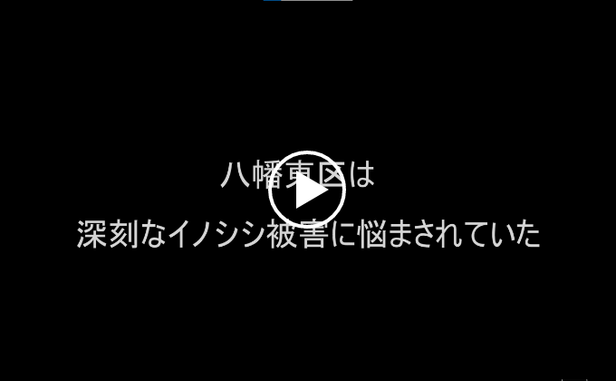 「イノシシ対策で地域貢献！」成果発表とジビエ料理試食会を実施